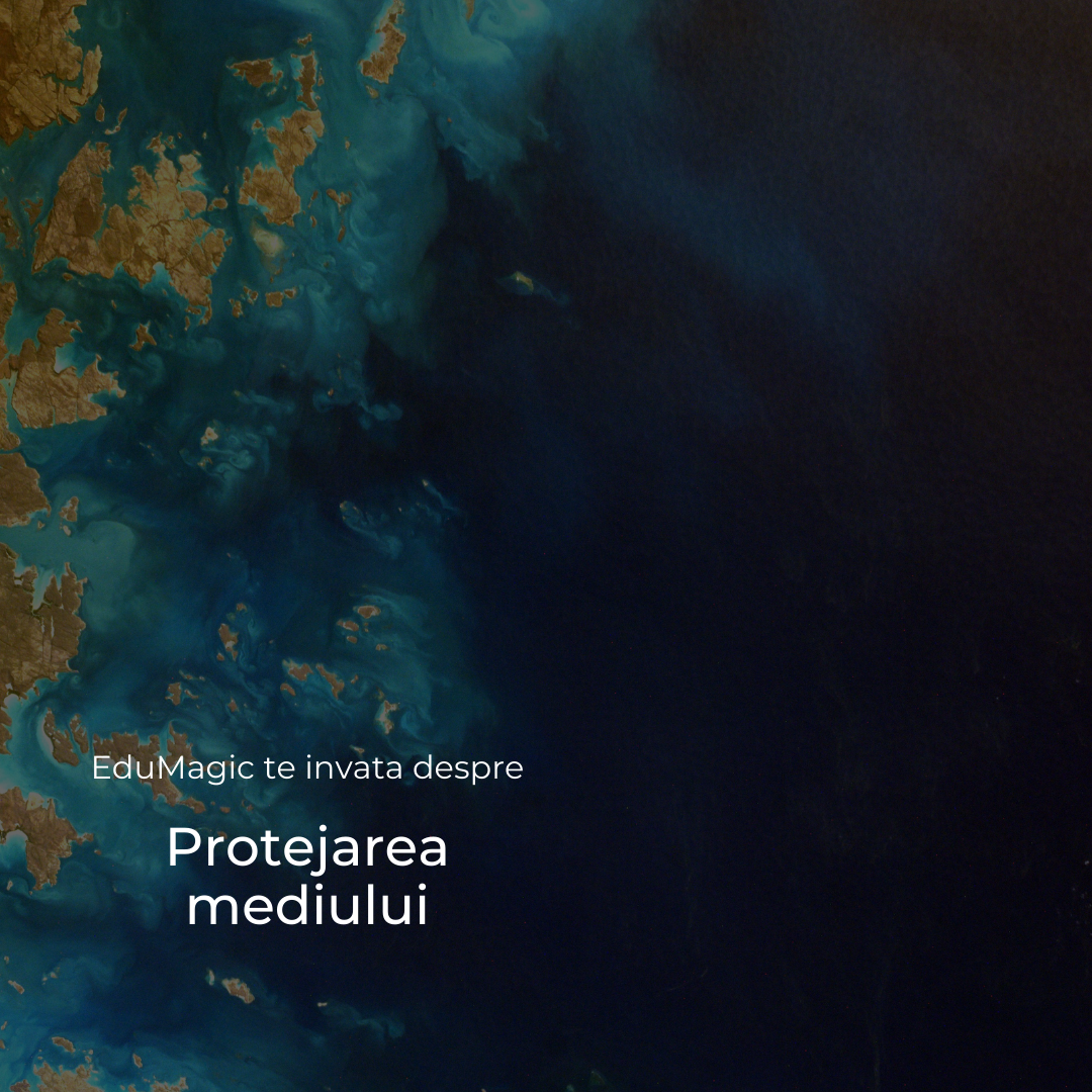 Protejarea mediului